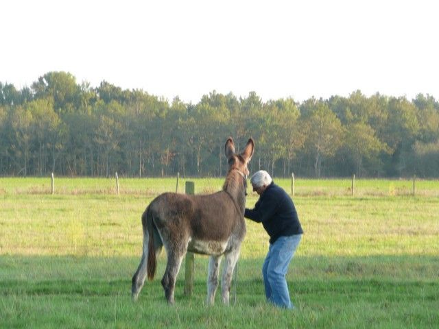 Balthazar et leonard Arrivee (20).jpg